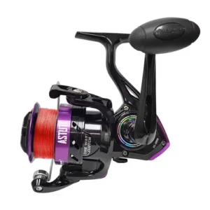 Pioneer Astute AS 2000