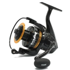 Pioneer Black Cat 4000
