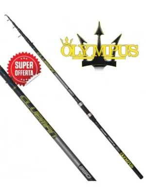 Canna Olympus Clubman