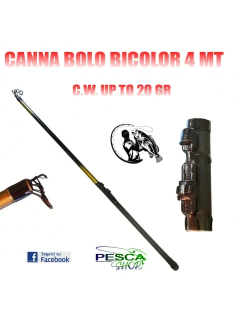 CANNA BOLO BICOLOR 4 MT