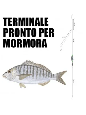 TERMINALE MORMORA