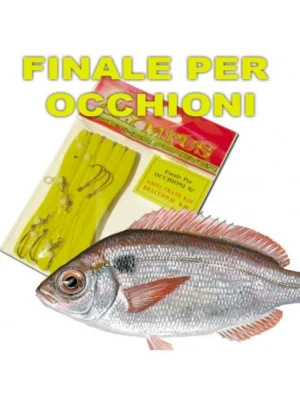 Finale per OCCHIONI/PAGELLI Mod.2