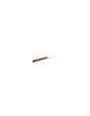 needle worm