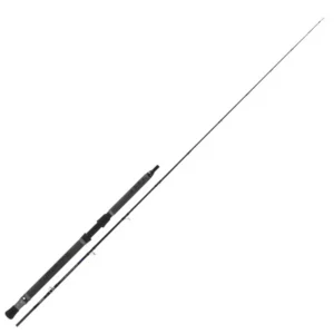 Canna Tubertini Pianosa Twist
