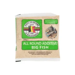 Big Fish – Van Den Eynde