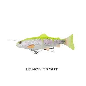4D Line Thru Trout 15cm 35g Slow Sink – Savage Gear