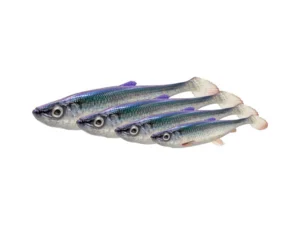 Savage Gear 3D Herring Shad V2