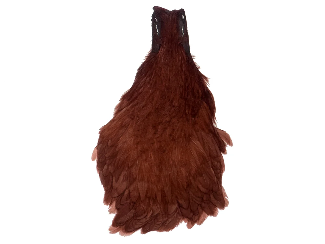 Kapki Hareline Hen Cape