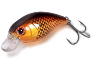 Quantum Esche Magic Trout Hustle and Bustle River