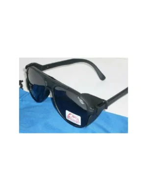 POLARIZED SUNGLASSES regulator input light
