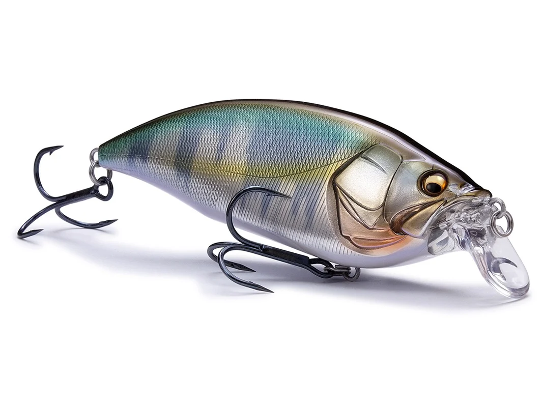 Esche Megabass Big-M 2.0