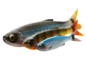 Savage Gear Craft Dying Minnow