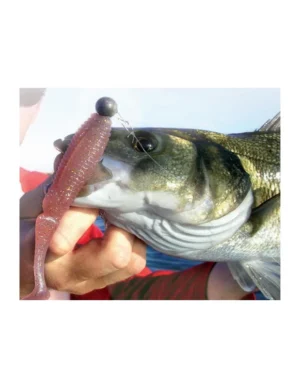 10 confezioni di pesce in gomma, DEGUSTAZIONE SCELTA