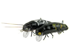 Microbait Esche Strangalia Maculata
