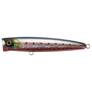 Bassday Bungy Popper