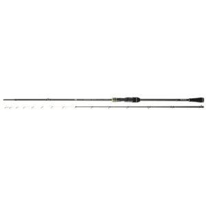 Daiwa Team Daiwa Tenya Casting