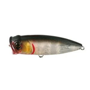 Nomura Small Popper Transparent Grey