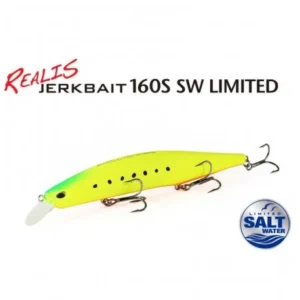 Artificiale Duo Realis Jerkbait 160S SW