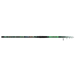 MAVER canna winner orata