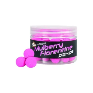 DYNAMITE N-TICERS MULBERRY FLORENTINE FLUORO POP UP