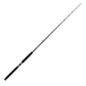 Canna Daiwa Seagate SGT70MHFS